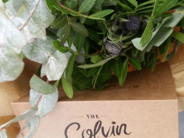 The Colvin