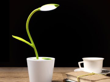 La lampada da tavolo che sembra un fiore è bella ed ecologica